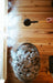 The Sweat Cabin (4 Person) - Blackout Edition - Elite Recovery Wellness
