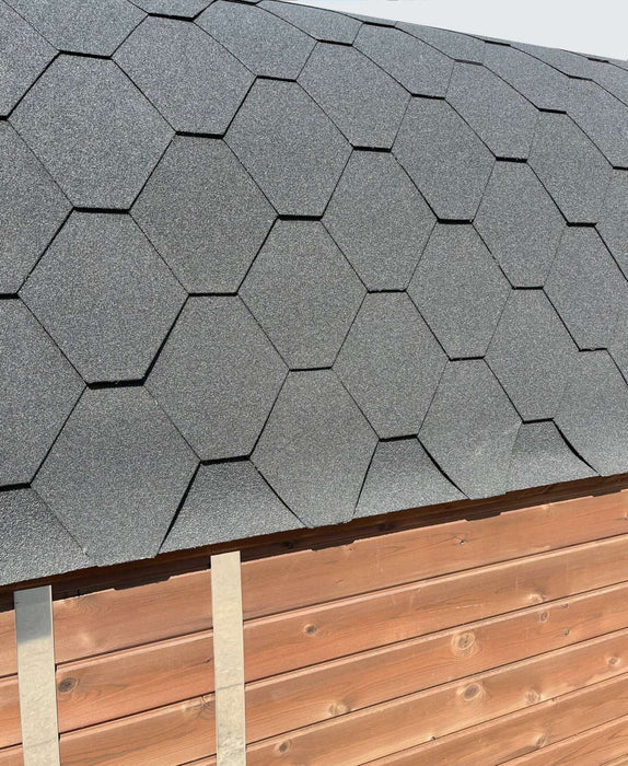 SAUNA EVOLUTION® Elegant Serenity Sauna 1