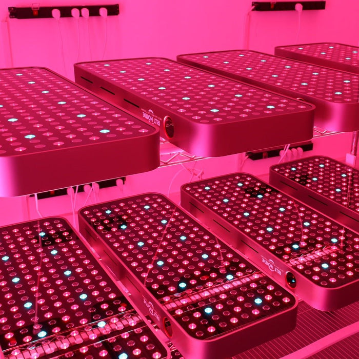 Total Spectrum COMPACT (7 Wave 216 LEDs) - Elite Recovery Wellness