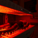 Vital Bed – Full - Body Professional Red Light Therapy System - Elite Recovery Wellness