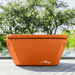 The Big Tex Endurance Plunge Tub - Elite Recovery Wellness